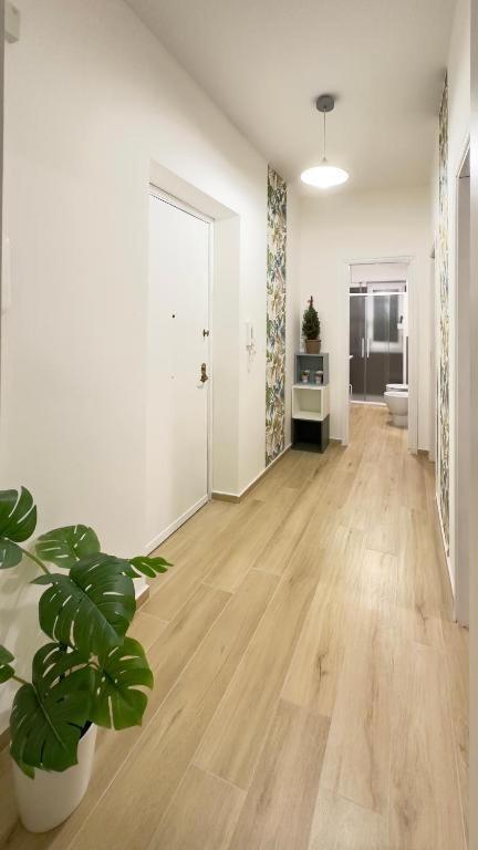 Light Holiday Home Palermo Exterior photo